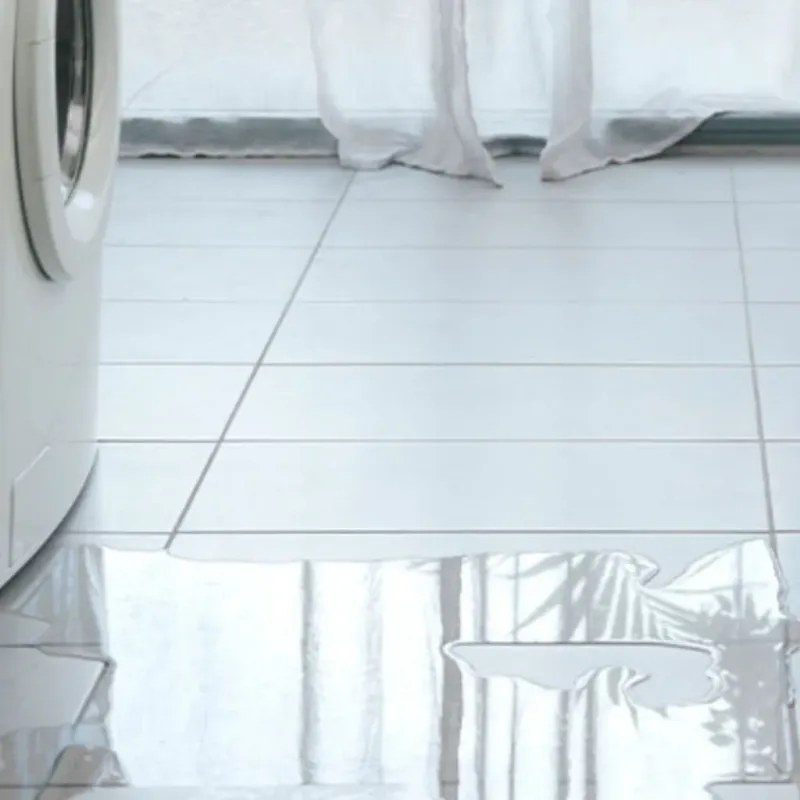 Appliance Leak Cleanup in San Joaquin, CA