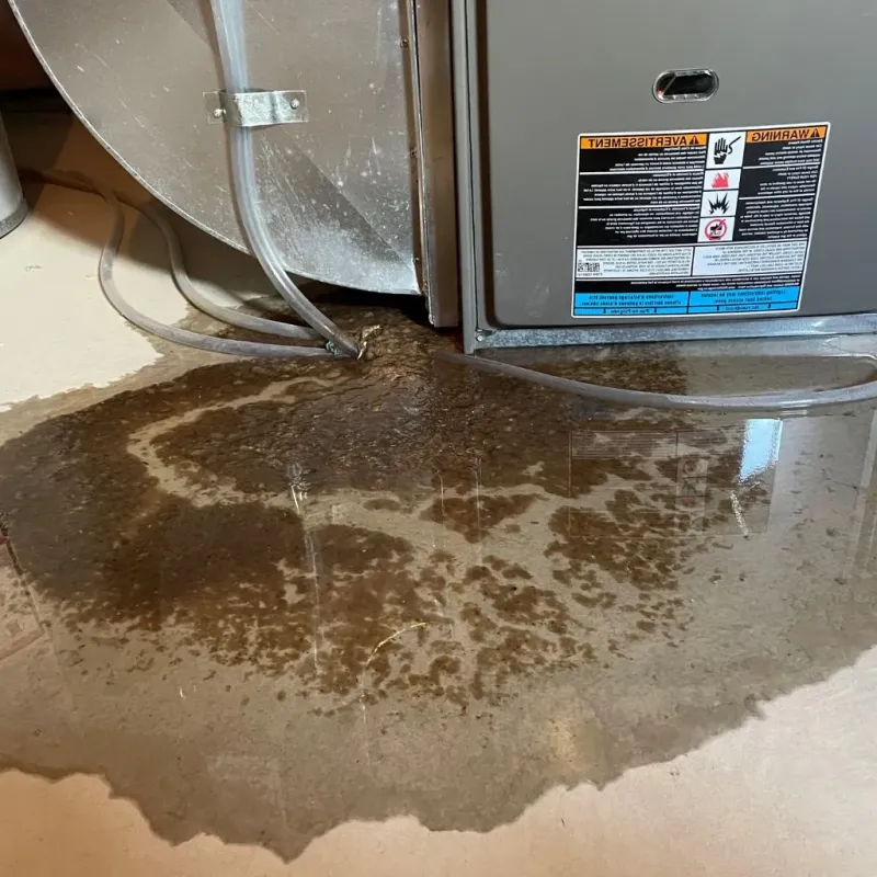 Pipe Burst and Leak Restoration in San Joaquin, CA